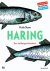 Stam, Huib - Haring - de vis die Nederland veranderde