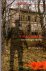 Langstraat, Tjeerd (ds1323) - Villa Gladiola / een 4-daagse thriller