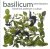 Bauwens , Peter . [ ISBN 9789058975256  ] 4518 - Basilicum . ( Botanisch, Praktisch  Culinair . ) Basilicum is enorm populair. In dit boek beschrijft Peter Bauwens niet alleen het rijke verleden van Ocimum basilicum als Koninklijke plant, maar ook heel praktisch hoe je succesvol zelf basilicum -
