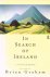 In search of Ireland : a cu...