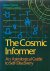 The Cosmic Informer. An Ast...