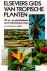Lötschert, W., Beese, G. - Elseviers gids van tropische planten; 323 sier- en gebruiksplanten met 274 afbeeldingen in kleur