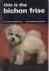 Bichon Frise - this is the
