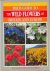 Press, Bob - FIELD GUIDE TO THE WILD FLOWERS OF BRITAIN AND EUROPE.