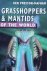 Preston-Mafham, Ken. - Grasshoppers and Mantids of the world