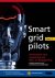 Smart grid pilots (deel 1 e...