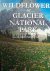 Shannon Fitzpatrick Kimball  Peter Lesica - "Wildflowers of Glacier National Park and Surrounding Areas"