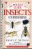 The pocket guide to insects...