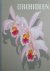 K.H. Meyer (Wort), Kurt Beyer (Bild) - Orchideen in Wort und Bild, met paginagrote afb. in kleur