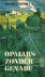 Brown, Harry - Opmars zonder Genade (a walk in the sun)