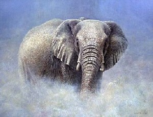 Logo Indenolifant