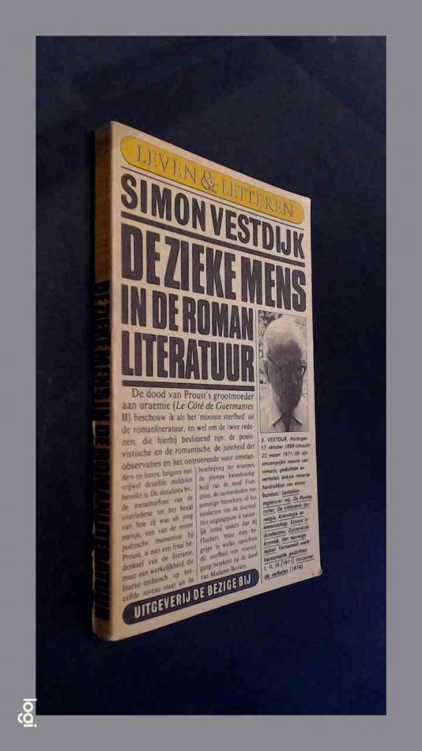 Vestdijk, Simon - De zieke mens in de romanliteratuur