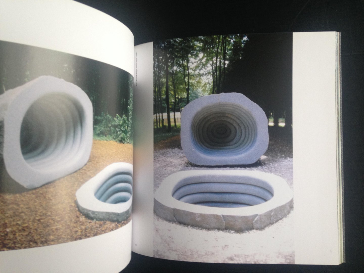  - Cass, Sculpture Foundation, The international resource for commissioning, exhibiting and selling monumental sculpture