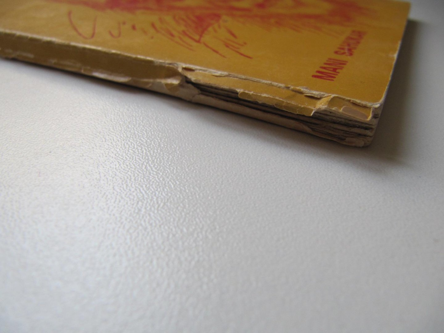 Mani Sahukar - Sai Baba -The Saint of Shirdi