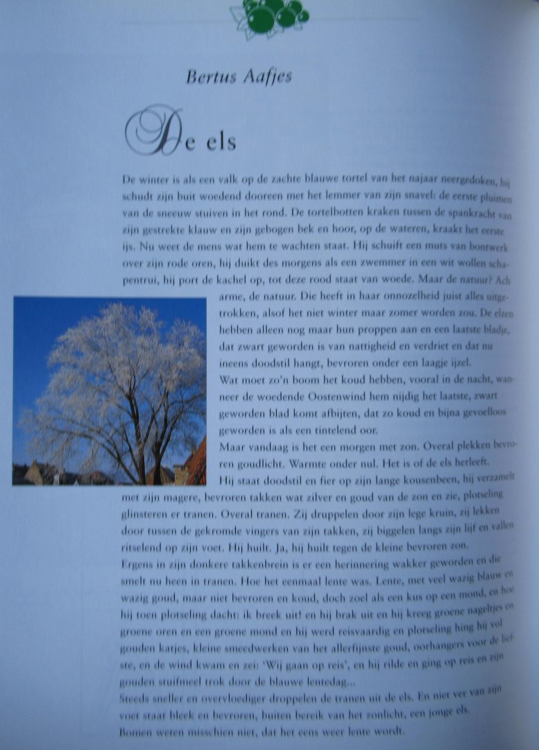 Vogt, Guusanke (samenstelling) - Winterboek. Verhalen, folklore, decoraties, spelletjes en recepten