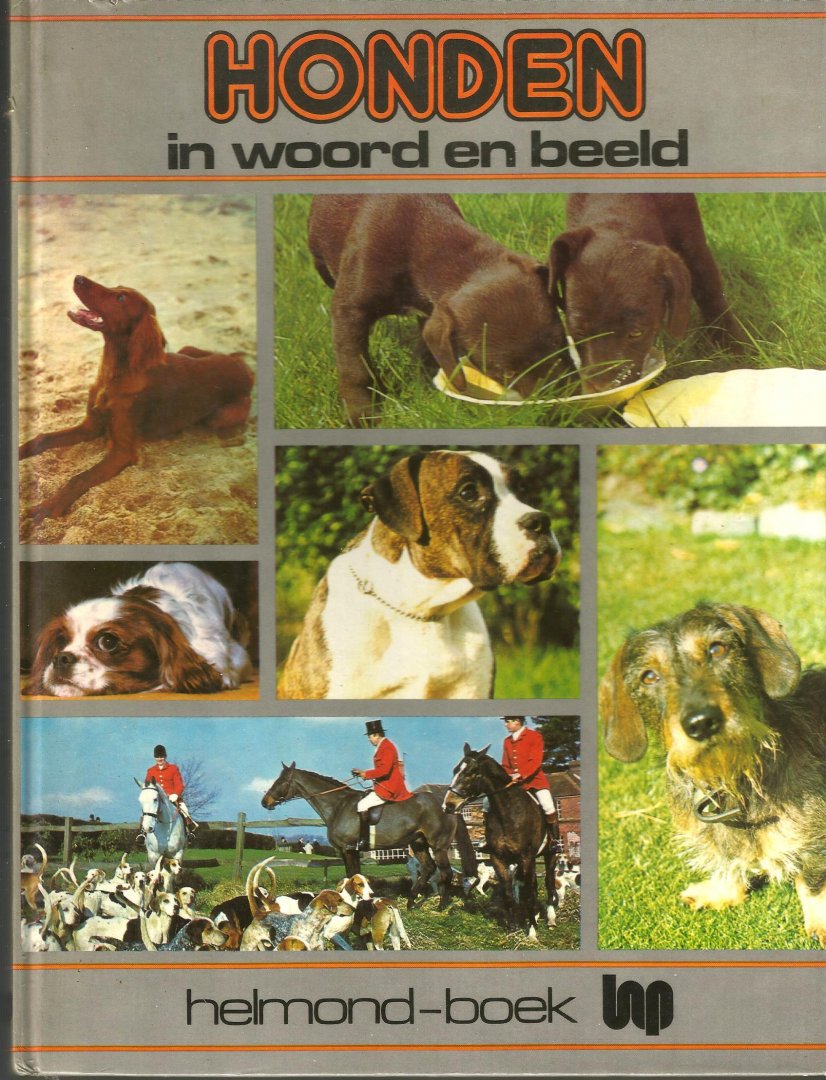 Bailey - Honden in woord en beeld / druk 1