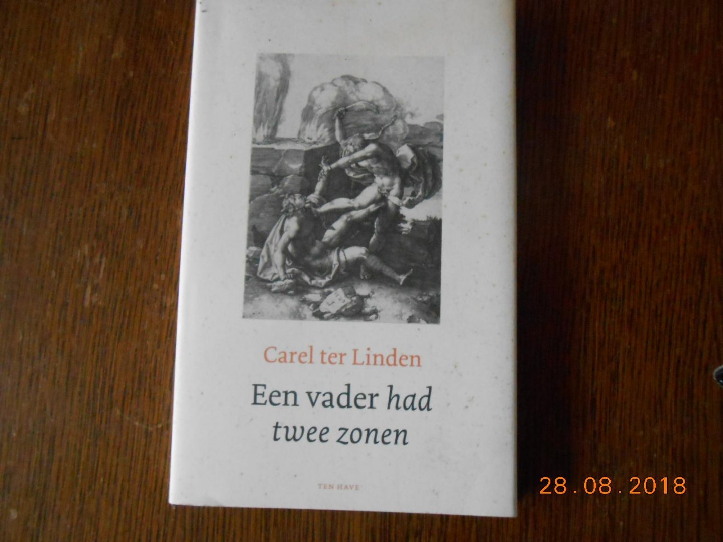 Linden, C. ter - Een vader had twee zonen