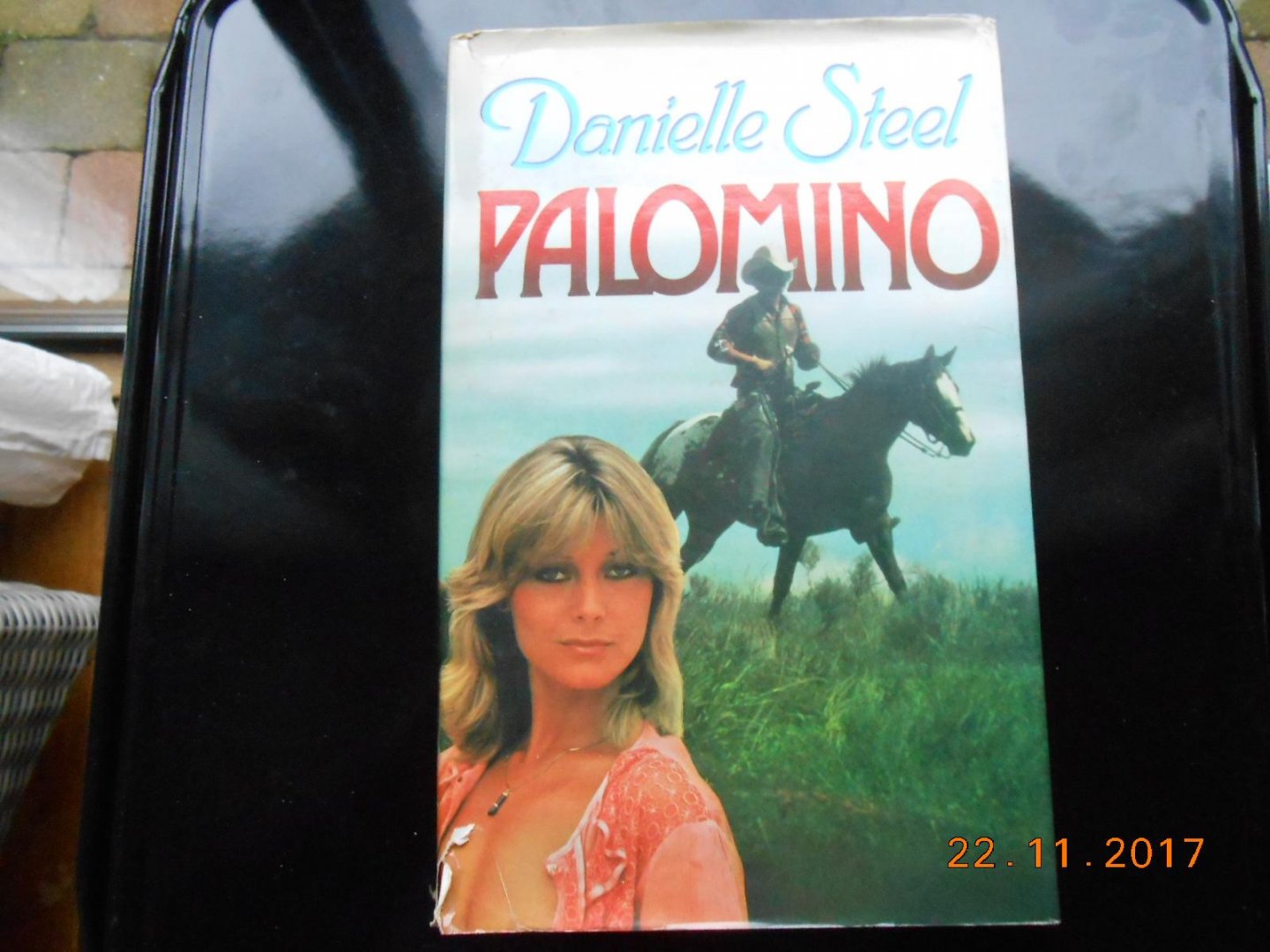 Steel Danielle - Palomino / druk 1