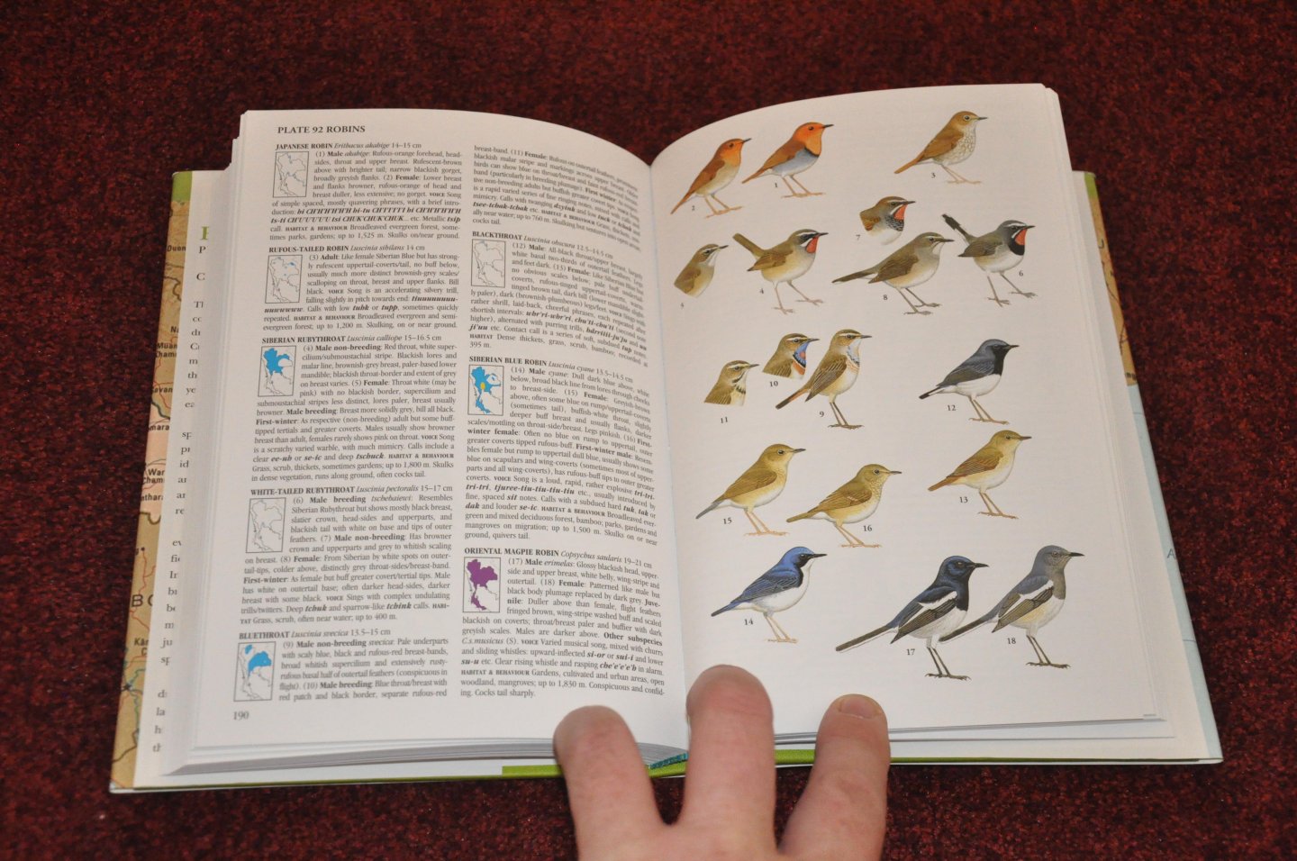 Robson, Craig - Birds of Thailand