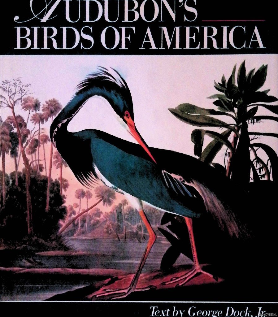 Dock, Jr., George - Audubons Birds of America