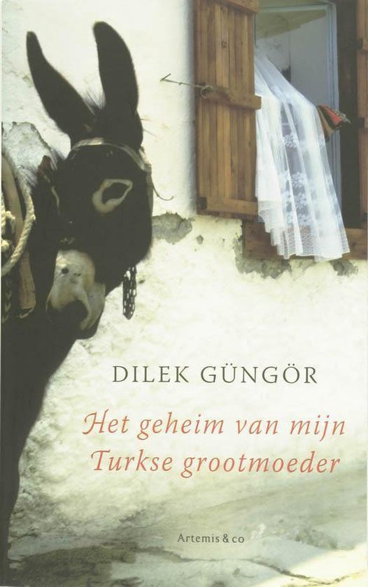 Gungor, D. - Het geheim van mijn Turkse grootmoeder