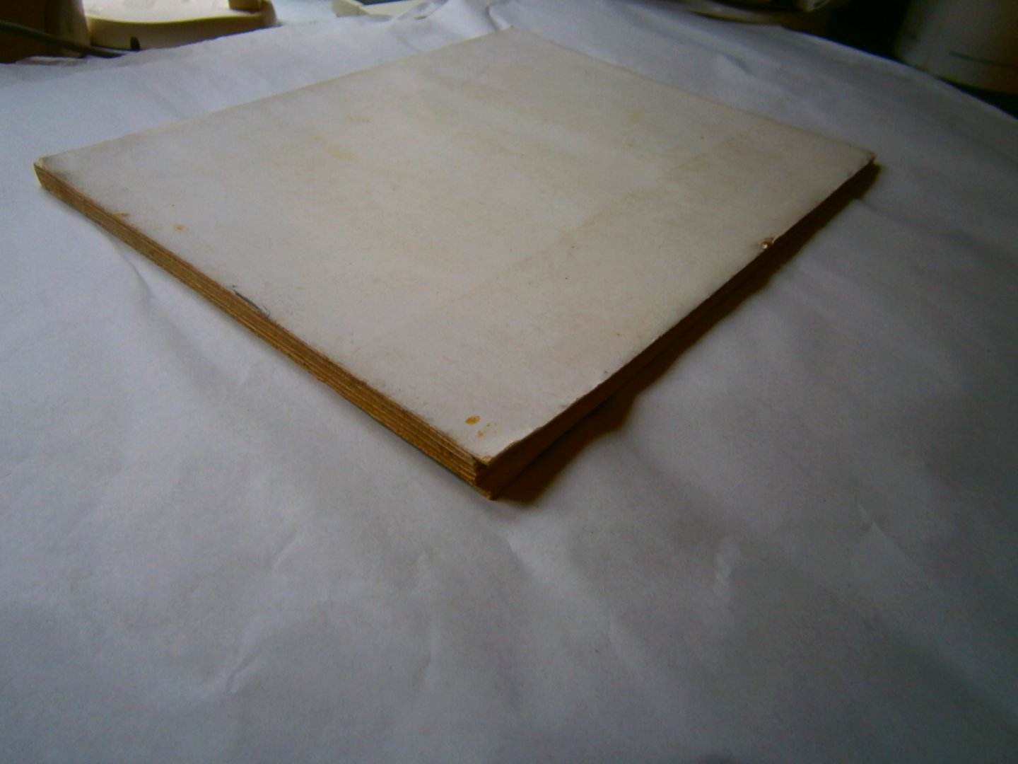 Radzitzky, Carlos de - Desert secret