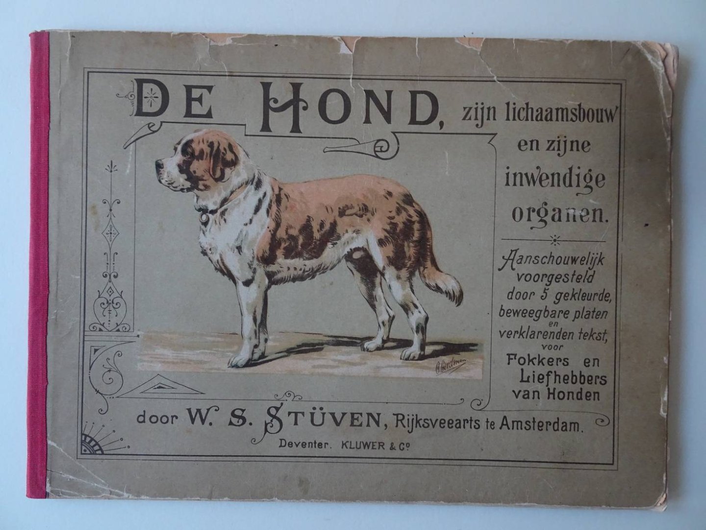 Stüven, W.S.. - De hond, zijn lichaamsbouw en zijne inwendige organen. Aanschouwelijk voorgesteld door 5 gekleurde, beweegbare platen en verklarenden tekst, voor fokkers en liefhebbers van honden.