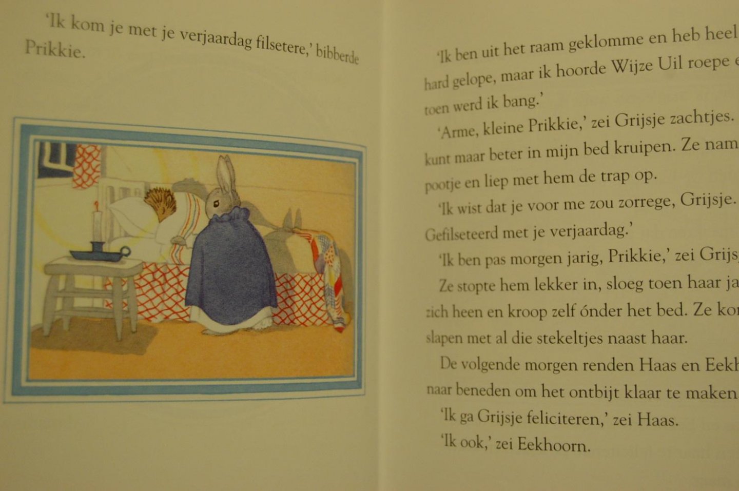 Uttley, Alison - De verjaardag van Grijsje het Konijn