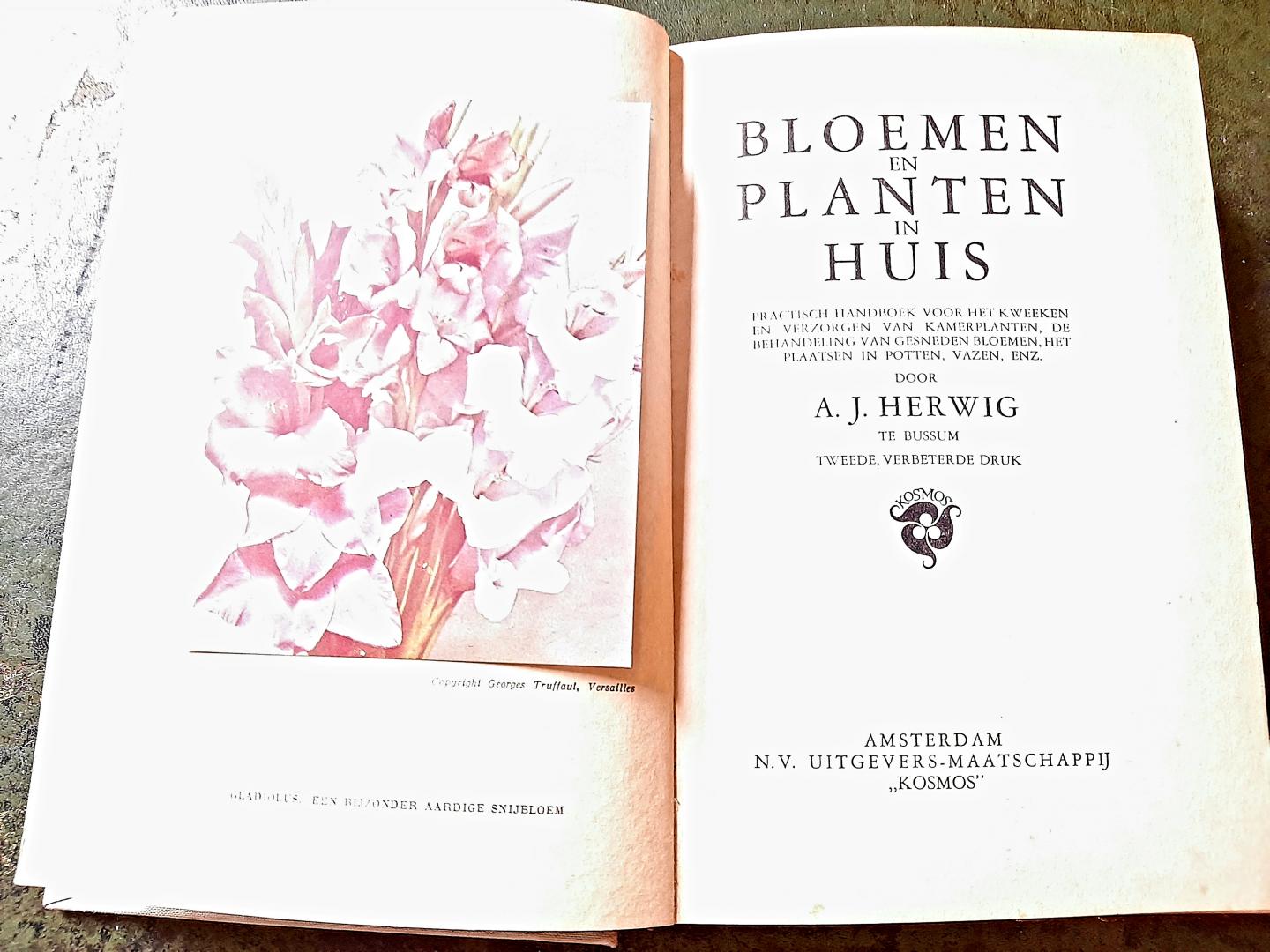 Herwig, A.J. - Bloemen en planten in huis. Practisch handboek voor het kweeken en verzorgen van kamerplanten, de behandeling van gesneden bloemen, het plaatsen in potten, vazen, enz.