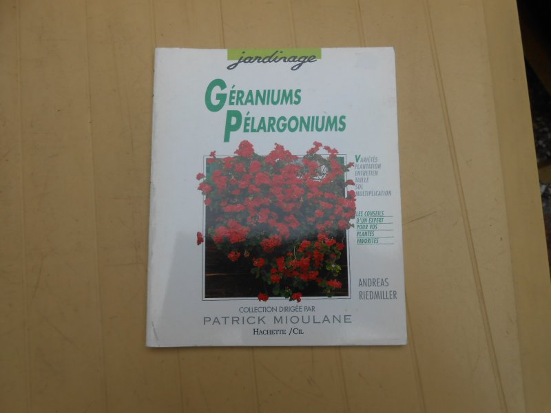 Riedmiller Andreas - Geraniums Pelargoniums
