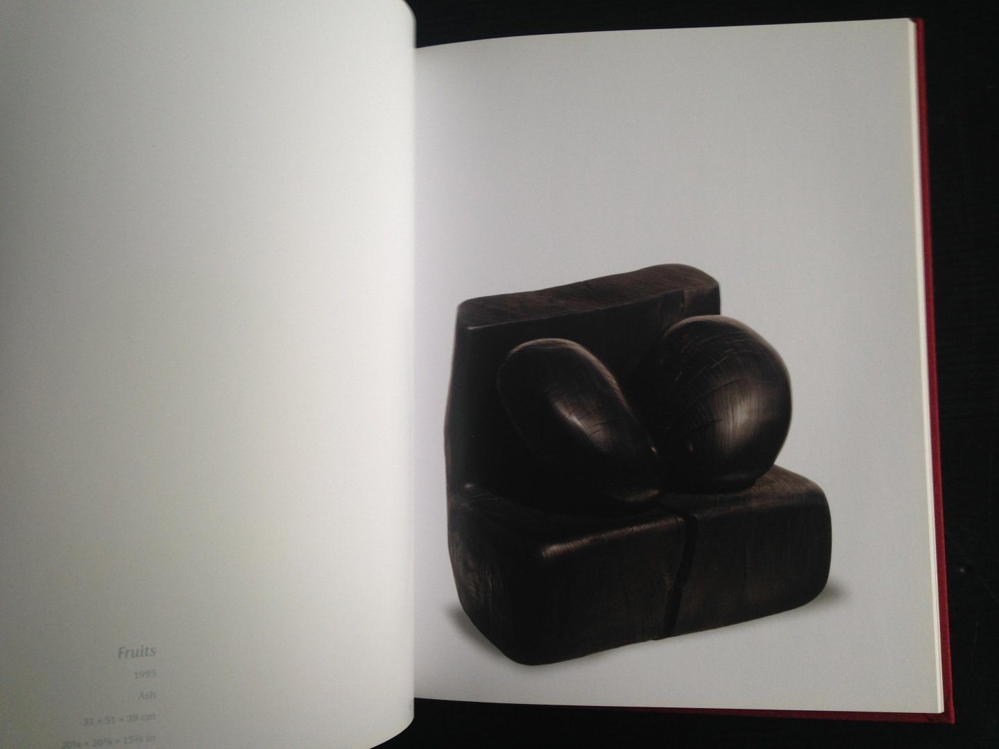  - Catalogus Wang Keping