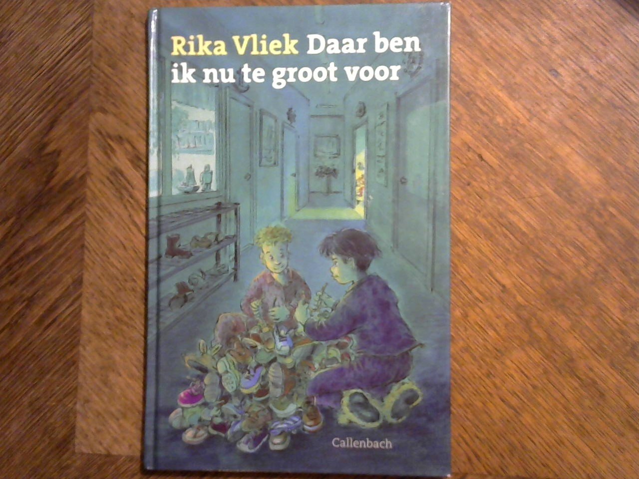 Vliek Rika - Daar ben ik nu te groot voor