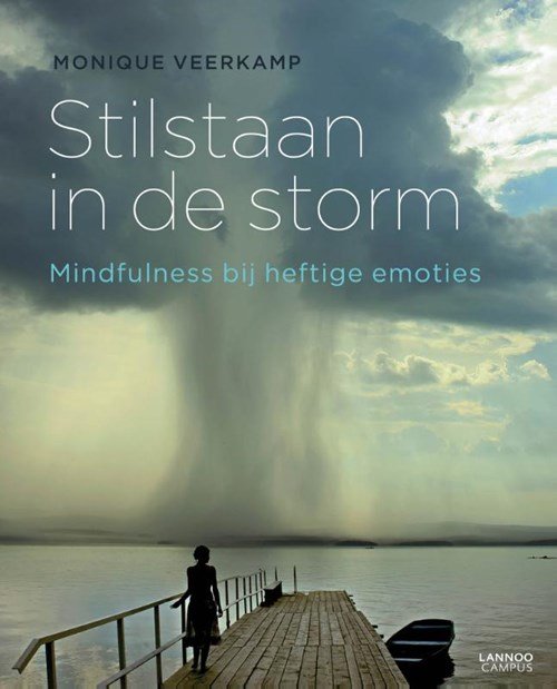 M. Veerkamp - Stilstaan in de storm