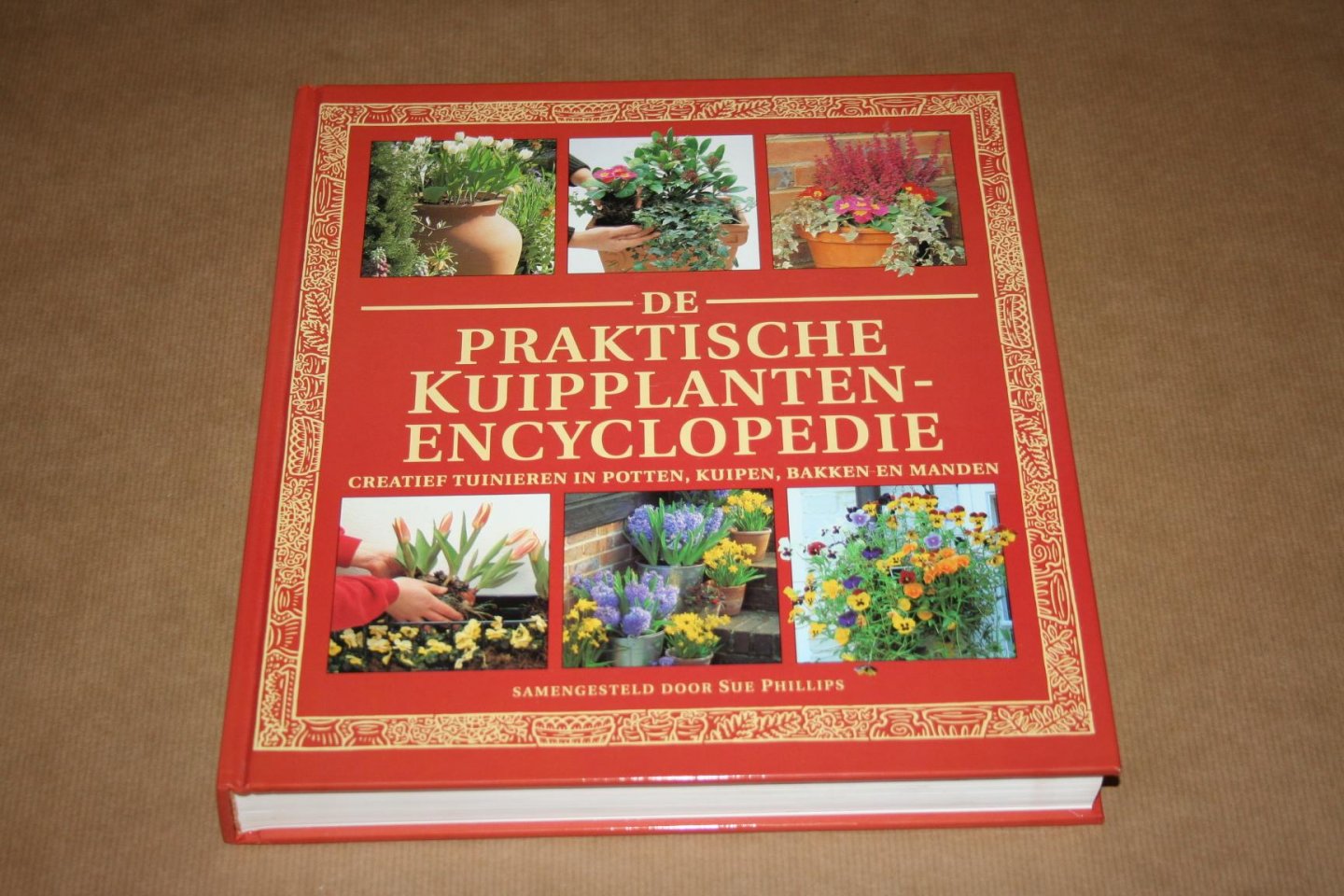Sue Phillips - De Praktische Kuipplanten-Encyclopedie  --- Creatief tuinieren in potten, kuipen, bakken en manden
