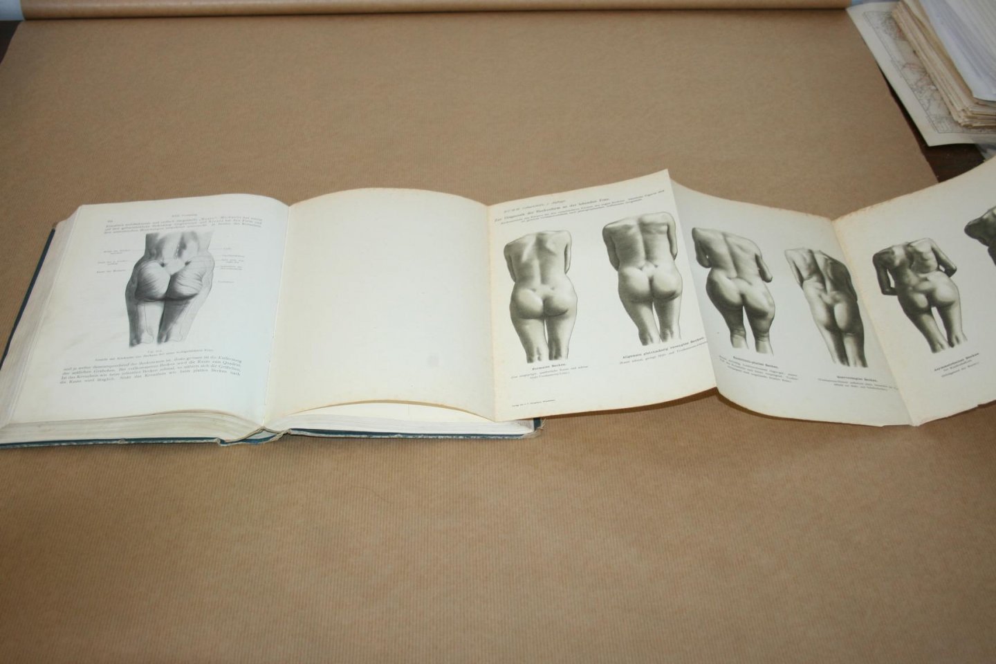 Dr. Ernst Bumm - Grundriss zum Studium der Geburtshilfe