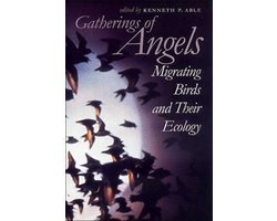 Unknown - Gatherings of Angels