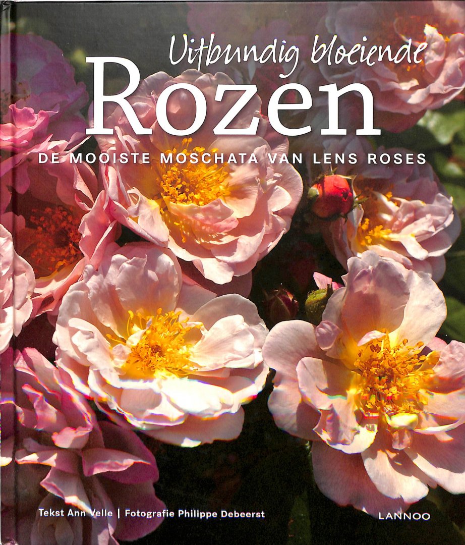 Ann Velle / Philippe Debeerst - Uitbundig bloeiende rozen. De mooiste Moschata van Lens Roses