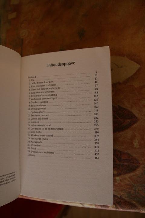 Dam, Jan van - De laatste vioolklank