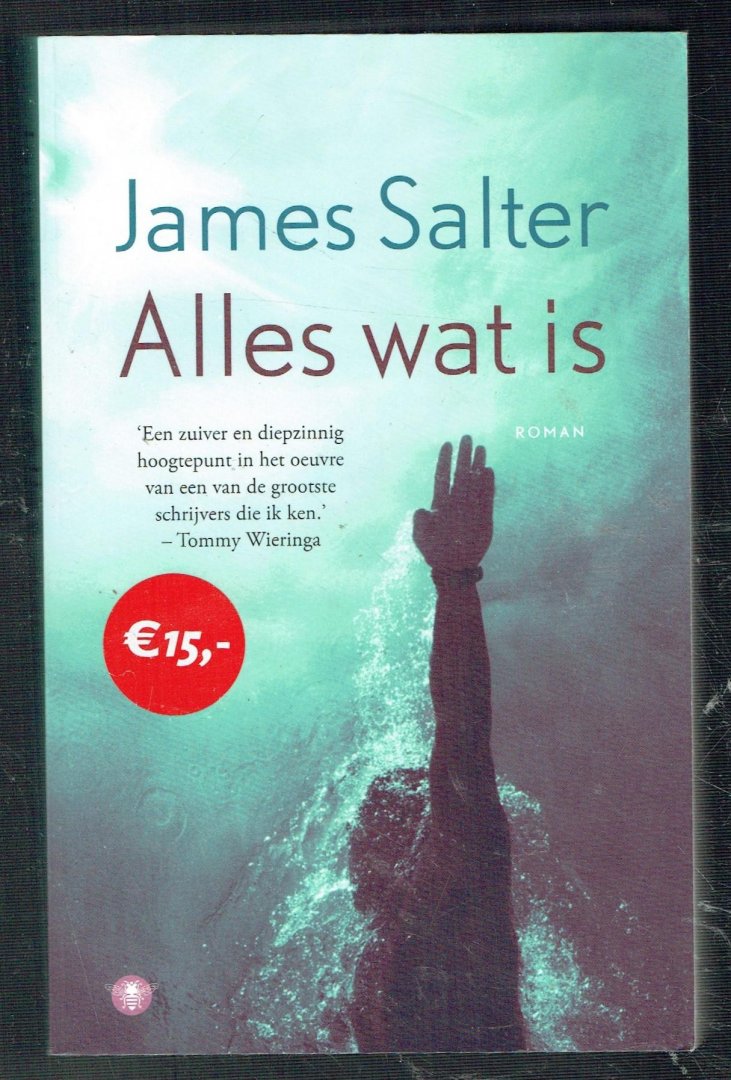 Salter, James - Alles wat is