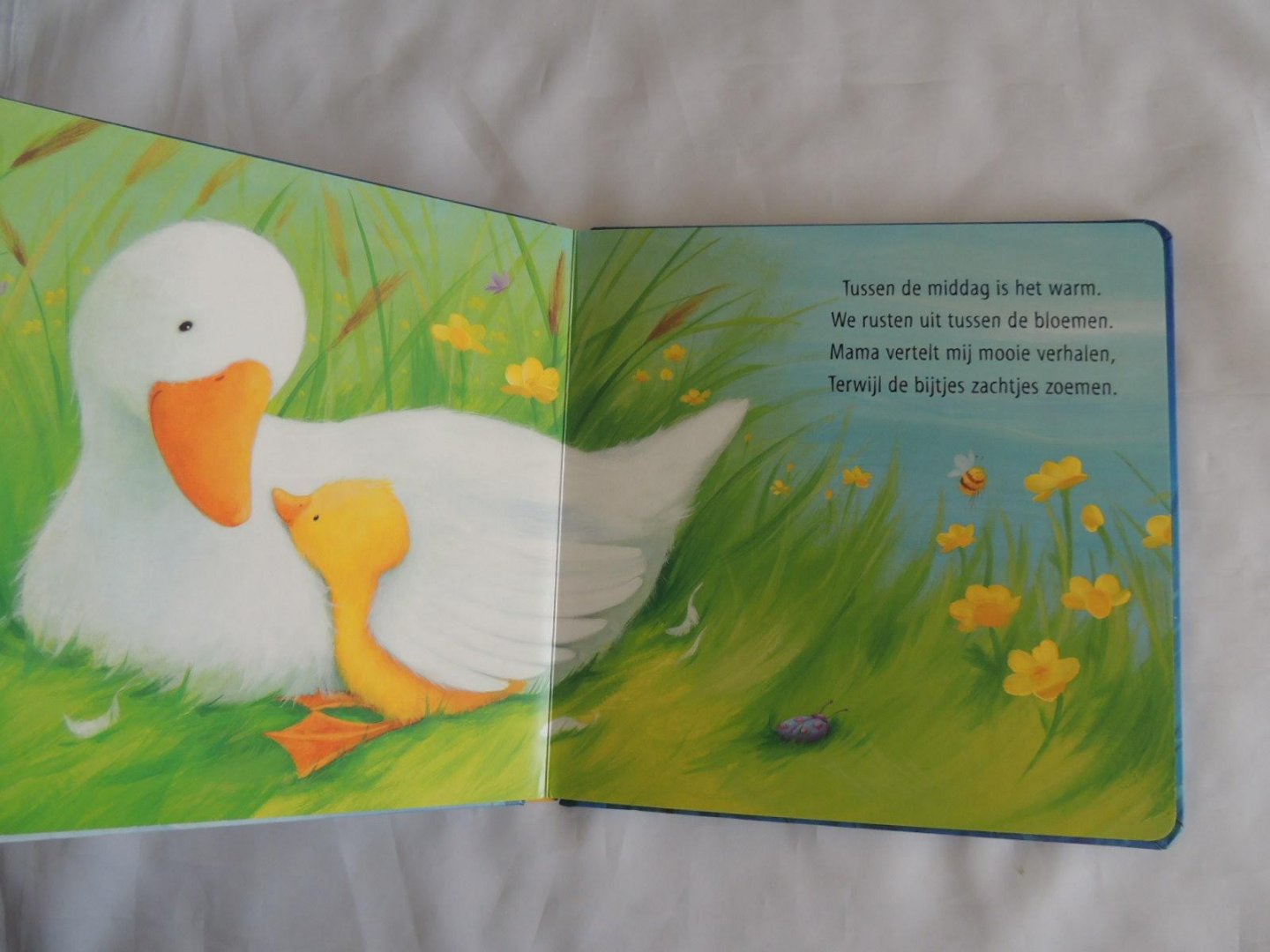 Claire Freedman; Caroline Pedler - Een knuffel voor Kleine Eend