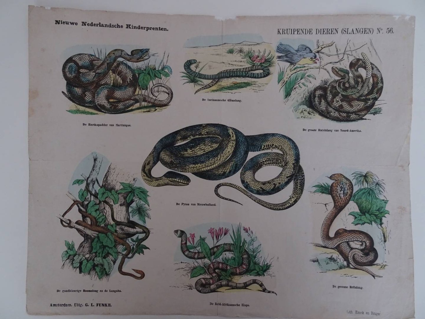 Funke, G.L. (Uitgever). - Nieuwe Nederlandsche Kinderprenten. Kruipende dieren (Slangen). No. 56.