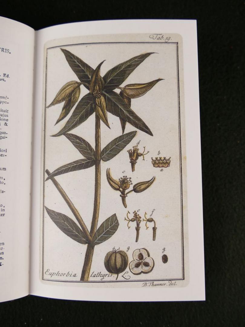 Oskamp, D.L. - Afbeeldingen der artseny- gewassen met der zelver Nederduitsche en Latynsche beschrijvingen. Facsimile herdruk uit 1796 (4 foto's)