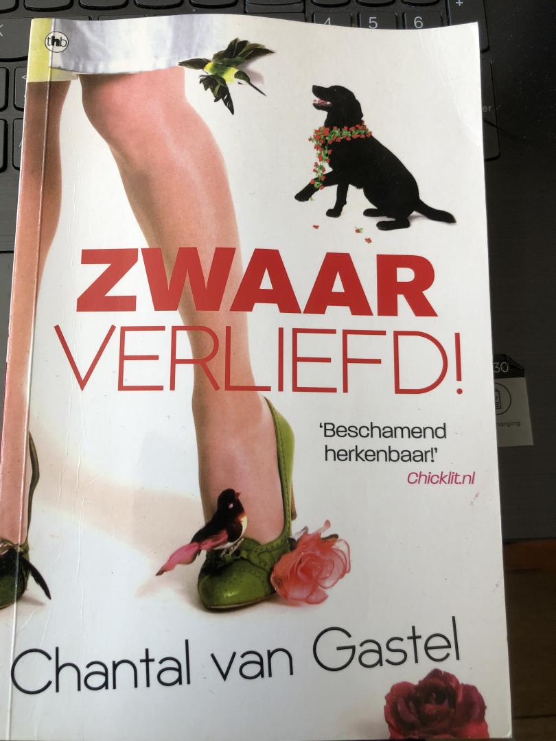 Chantal van Gastel - Zwaar verliefd!