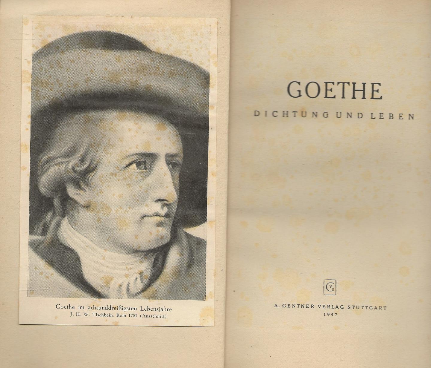 Babara Nottmeyer  Oberstadion im Sommer 1946 - Goethe Dichtung und Leben