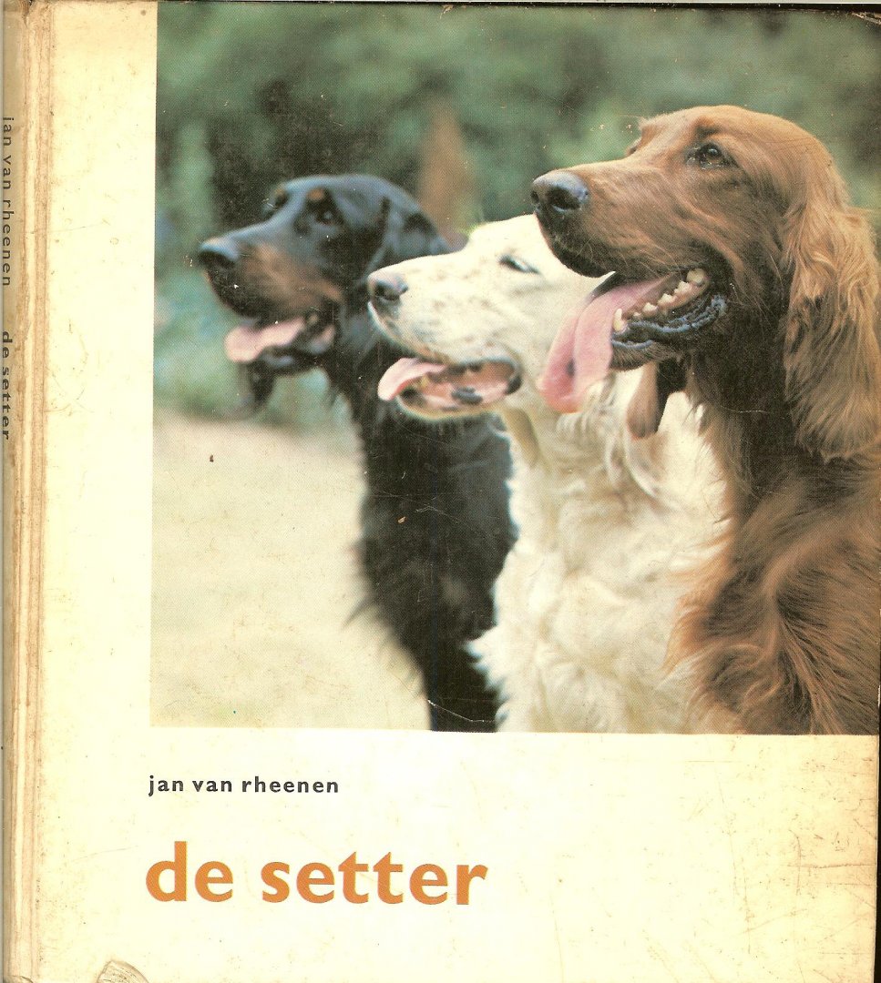 Rheenen, Jan van - De setter.