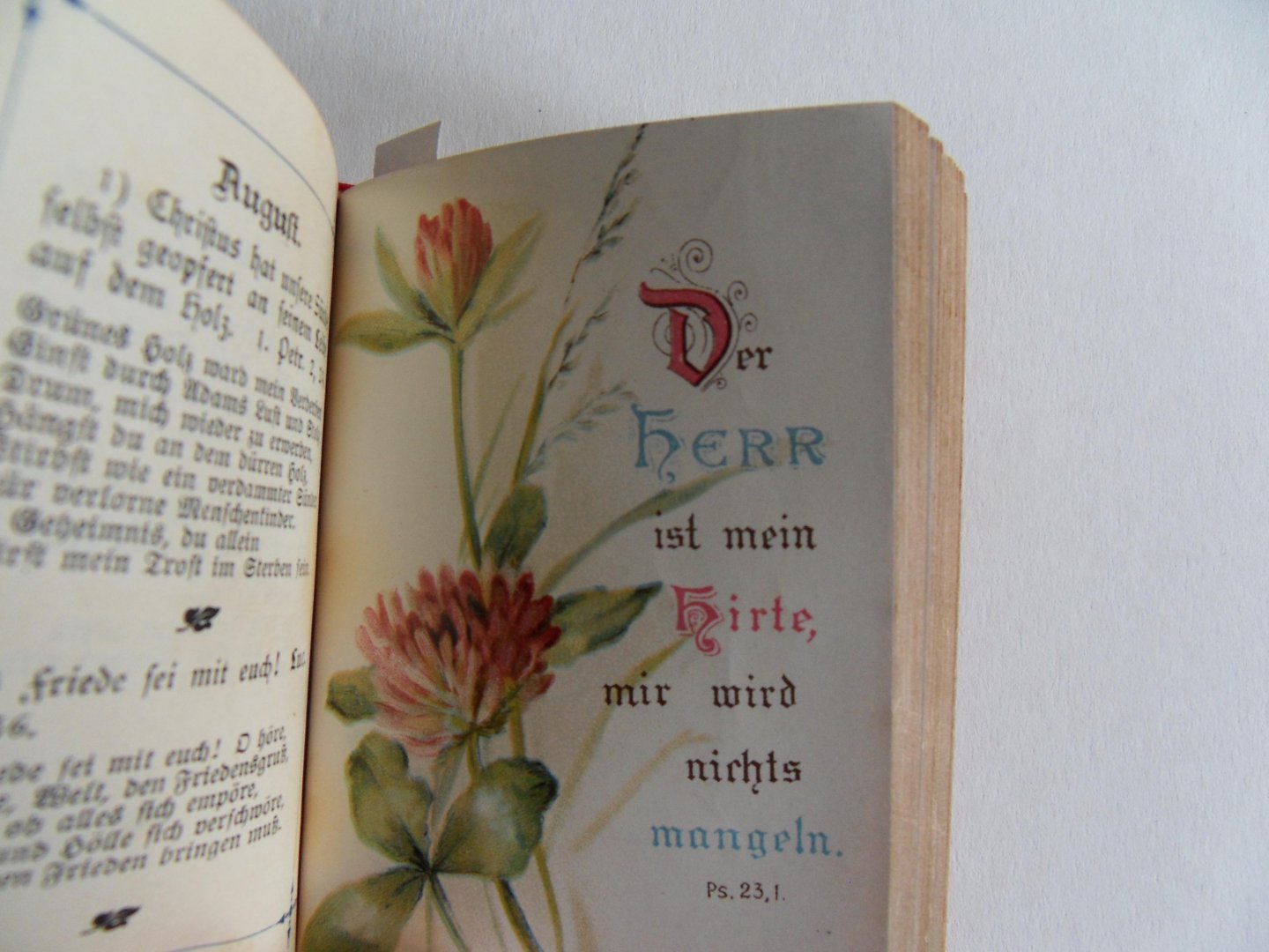 Ehmann, K. Ch. [ herausgegeben von ]. - Christliches Vergiszmeinnicht. - Gedenkblätter der Liebe und Freundschaft.
