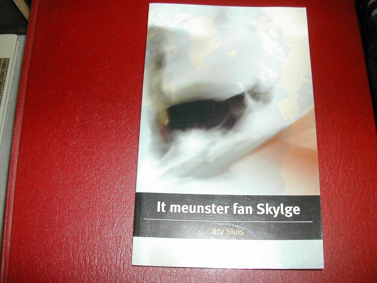 SLUIS, ITTY - IT MEUNSTER FAN SKYLGE boekewikegeskink 2002 SLUIS, ITTY - IT MEUNSTER FAN SKYLGE boekewikegeskink 2002