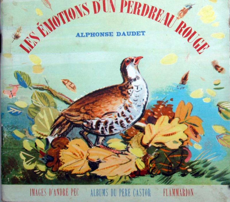 Alphonse Daudet - Les emotions d'un perdreau rouge