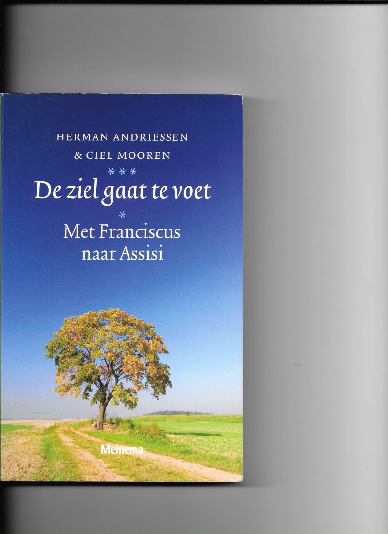 Mooren, C. - De ziel gaat te voet / met Franciscus op pelgrimstocht naar Assisi