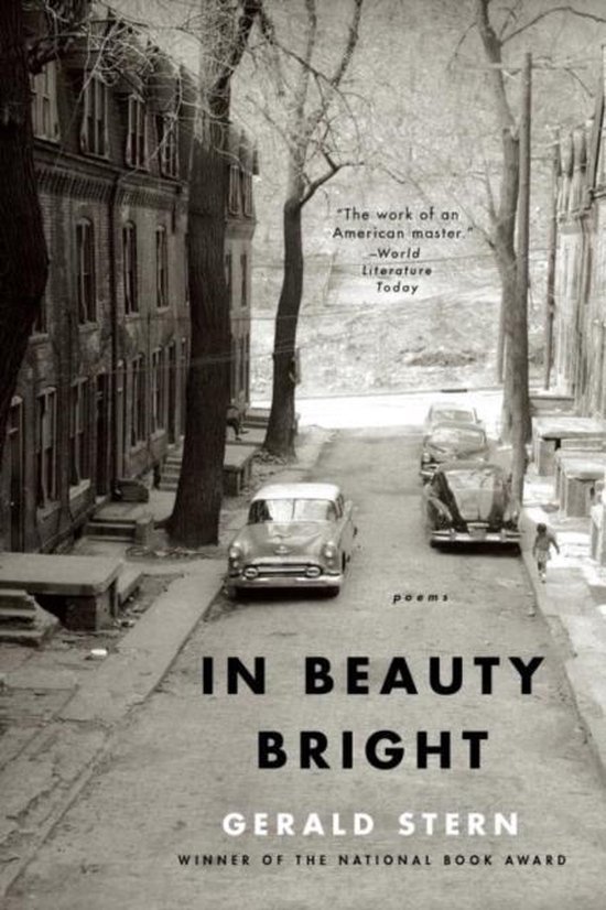 Gerald Stern - In Beauty Bright